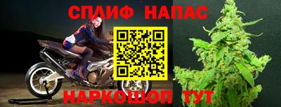 spice Ставрополь